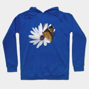 Butterfly And Spider On African Daisy Hoodie